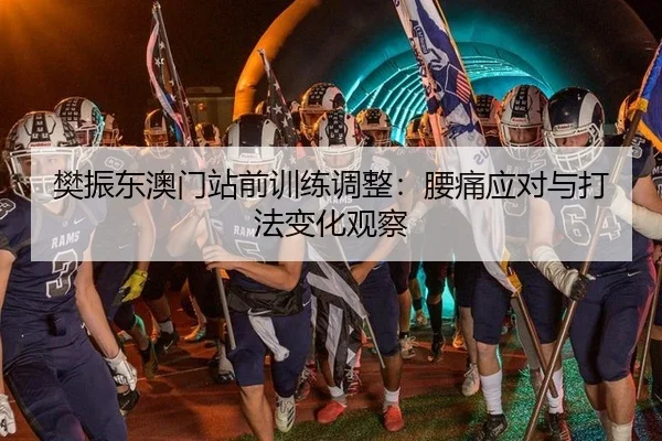 樊振东澳门站前训练调整：腰痛应对与打法变化观察